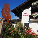 Haus Hochwies 公寓 博尔斯特尔朗