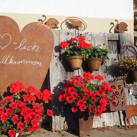 Haus Hochwies Appartement Bolsterlang